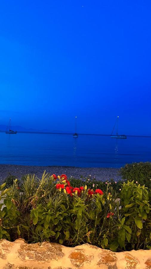 Elefanti Nani Appartement Livadia (Tilos)
